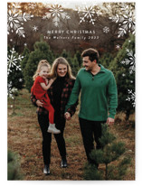 Snowfall Christmas Photo Cards
