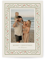 Merry Holly Christmas Photo Cards