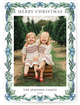 traditional christmas Christmas Photo Cards