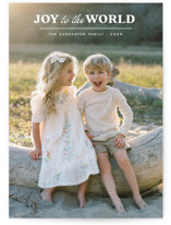 Pure joy Christmas Photo Cards