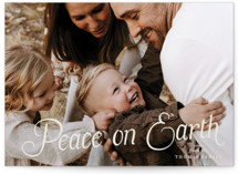 Spruce Christmas Photo Cards