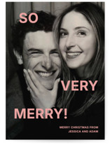 So Much Fun Christmas Photo Cards