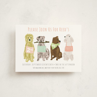 Puppy Line-Up Petite Children's Birthday Party Invitations