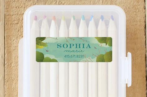 Looking Up Custom Name Labels