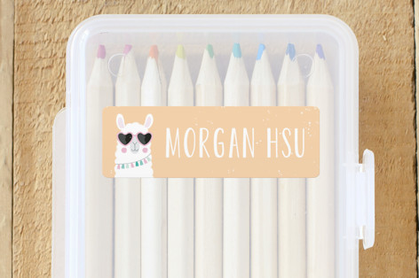 Fun Llama Custom Name Labels