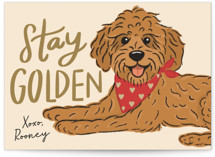 Classroom Valentine's Day Cards