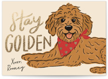 Stay Golden Foil-Pressed Classroom Valentine's Day Cards