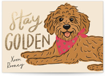 Stay Golden Foil-Pressed Classroom Valentine's Day Cards