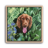 Painterly Pet Portrait, 12x12", Painting Commission Commissioned Original Painting
