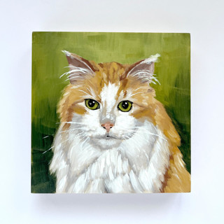 Mini pet portrait, 5x5