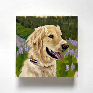 Mini pet portrait, 5x5