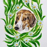 Floral Watercolor Pet Portrait Commissioned Original Painting