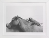 Always Fine Art Prints