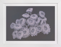 Une Vie de Chrysanthèmes I