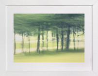 Past the trees, Road Trip Fine Art Prints