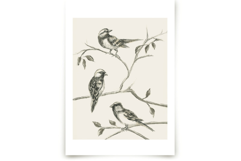 アート・デザイン・音楽 CLASSIC NATURAL HISTORY PRINTS BIRDS 71uEiPiZudL._UF350,350_QL50_.jpg