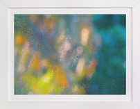 Dreaming Of Summer II Fine Art Prints