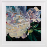 Peony at Spring Sunset Fine Art Prints