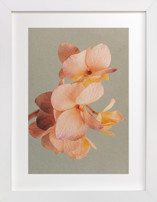 The Beauty Within Fine Art Prints