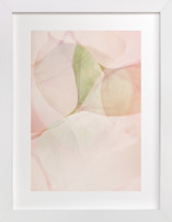 Sweet Memories II Fine Art Prints