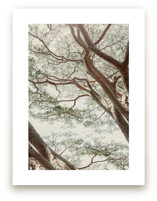 Tapestry II by Alicia Abla