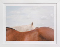 peekaboo II Fine Art Prints