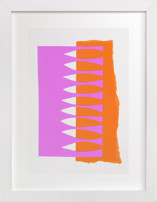 Basslet Party Fine Art Prints