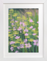 Dancing Flowers 2 Fine Art Prints