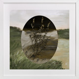 Seasons Change Fine Art Prints