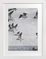 In flight. Fine Art Prints