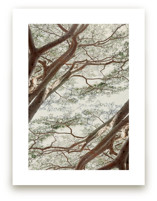 Tapestry I by Alicia Abla