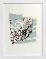 Waterfall Assemblage Fine Art Prints