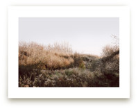 The Preserve by Robin Ott