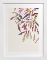 Painted Foliage Fine Art Prints