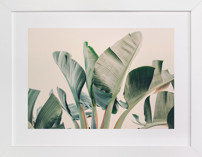 Bending To The Sun Fine Art Prints