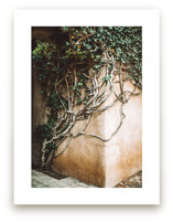 Hold On by Janet Cruz