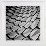 Honeycomb Fine Art Prints
