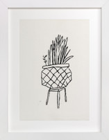 Snake Plant Fine Art Prints