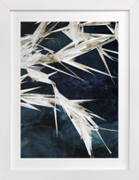 Midnight Nature I Fine Art Prints