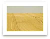 Sunny field by Lying on the grass