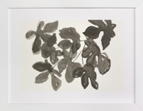 Light Dappled Fine Art Prints