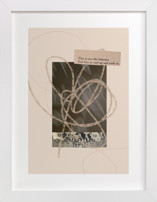 Curl Up & Settle In Fine Art Prints