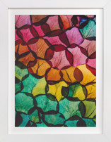 Rainbow Rose Petals Fine Art Prints