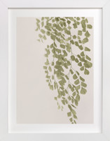 Softness Fine Art Prints