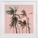 Aloha Fine Art Prints