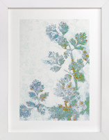 Rustic Herbs Fine Art Prints