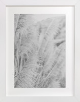 Gossamer Fine Art Prints