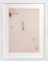 Rose Fine Art Prints