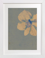 Reframed Nature 2 Fine Art Prints
