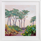 Cool Morning Fine Art Prints